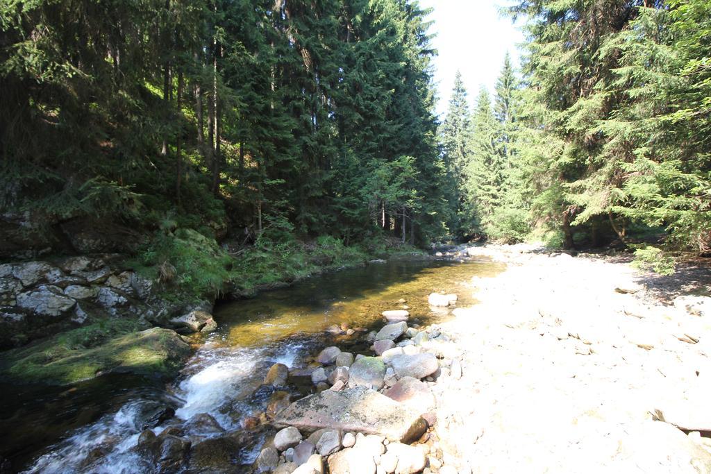 Chalet Schaefer Harrachov Exteriör bild